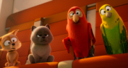 Szybcy i sprytni - zdjęcie 10