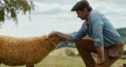 Sprawiedliwość owiec - zdjęcie 1