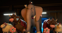 Miss Moxy. Kocia ekipa - zdjęcie 11