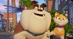 Miss Moxy. Kocia ekipa - zdjęcie 12