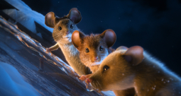 Mysz-masz na święta - zdjęcie 4