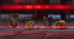 Mysz-masz na święta - zdjęcie 6