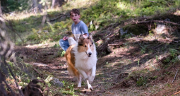 Lassie. Nowe przygody - zdjęcie 4